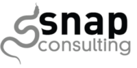 snap consulting partner